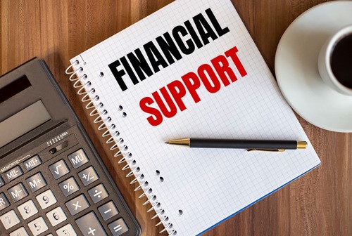 Government Financial Support